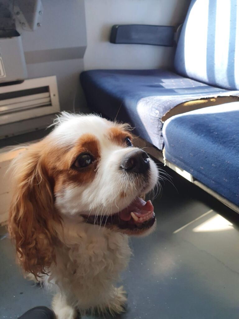 Train From Varna to Veliko Tarnovo