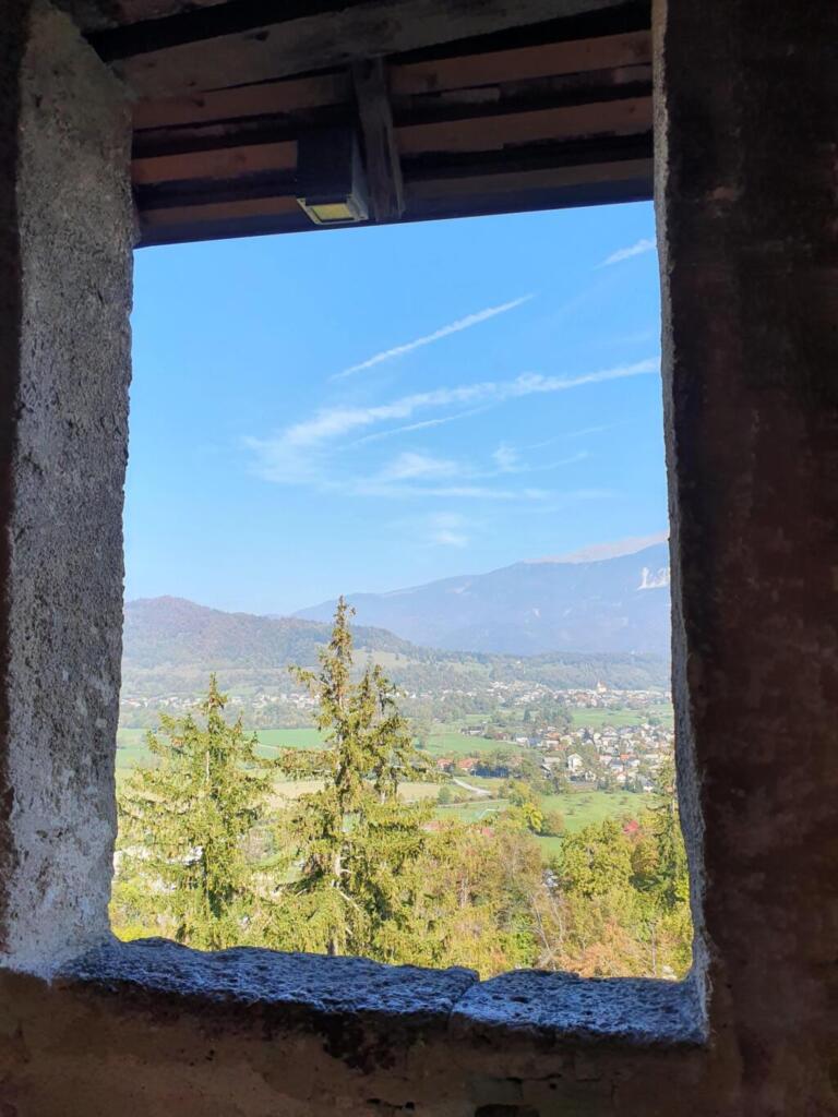 Window Views