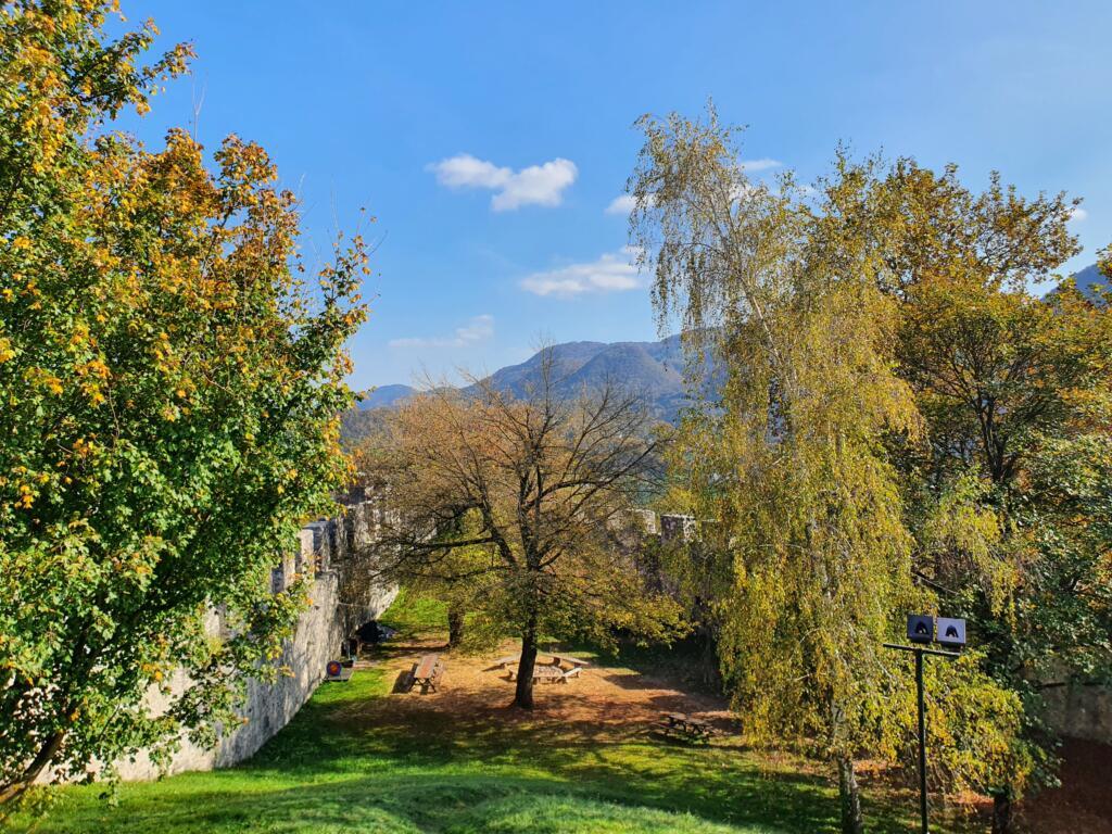 rear courtyard