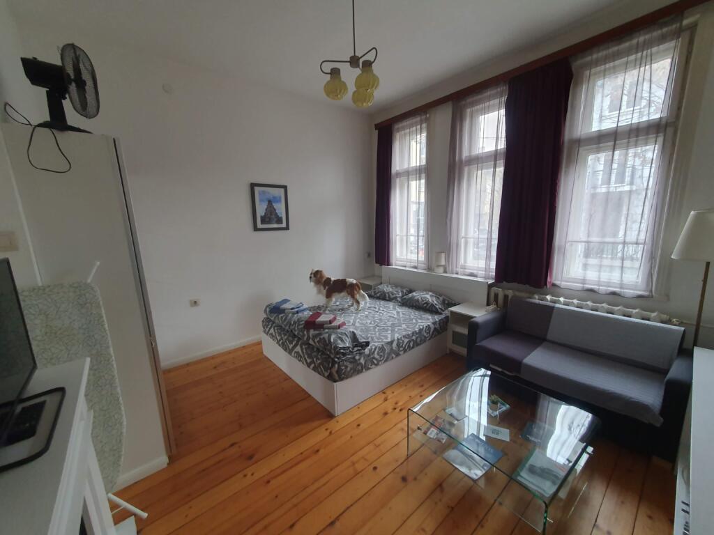 Apartment August 11 Dog Friendly