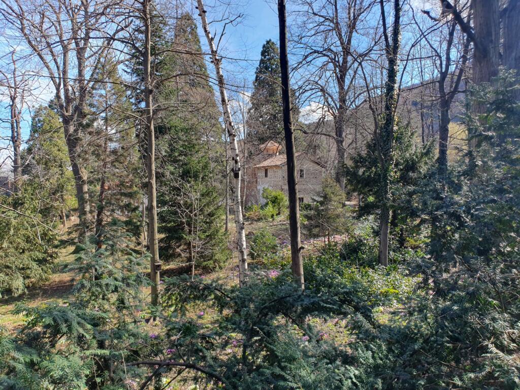 Boyana Church Grounds