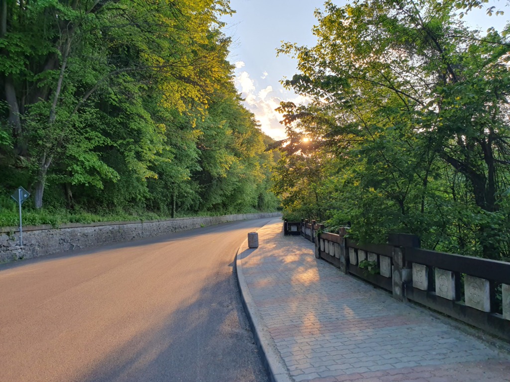 Late Sun Hill Walk