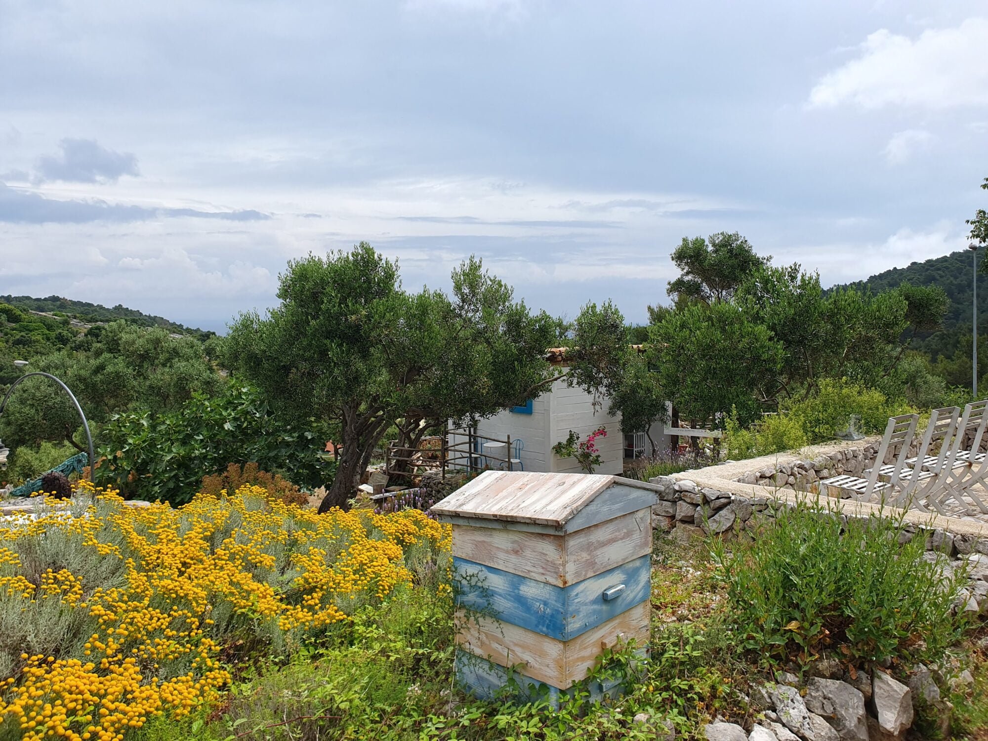 Bee Hive