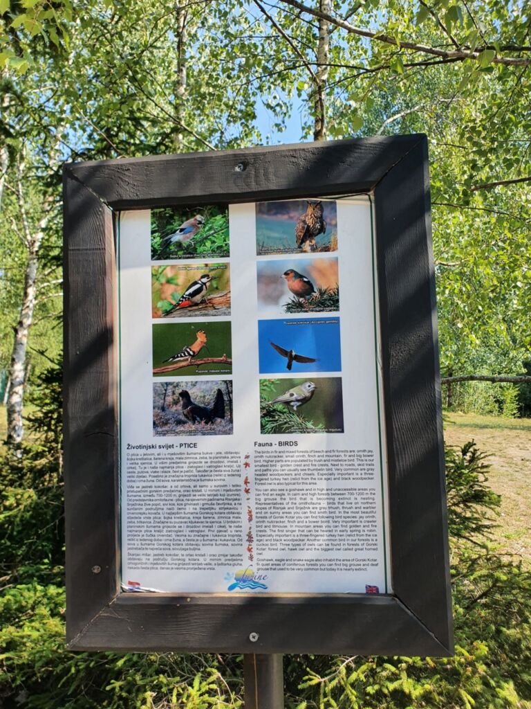 Birdwatching Fuzine