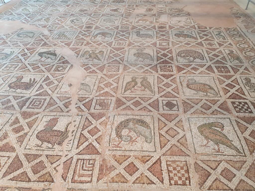 Bishop’s Basilica of Philippopolis Birds