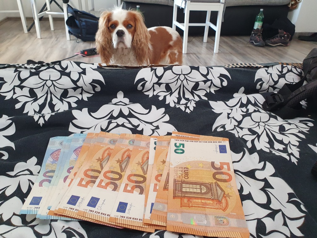 Free Cash Wthdrawls
