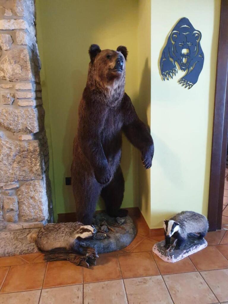 Hotel Bitoraj Fuzine Bear