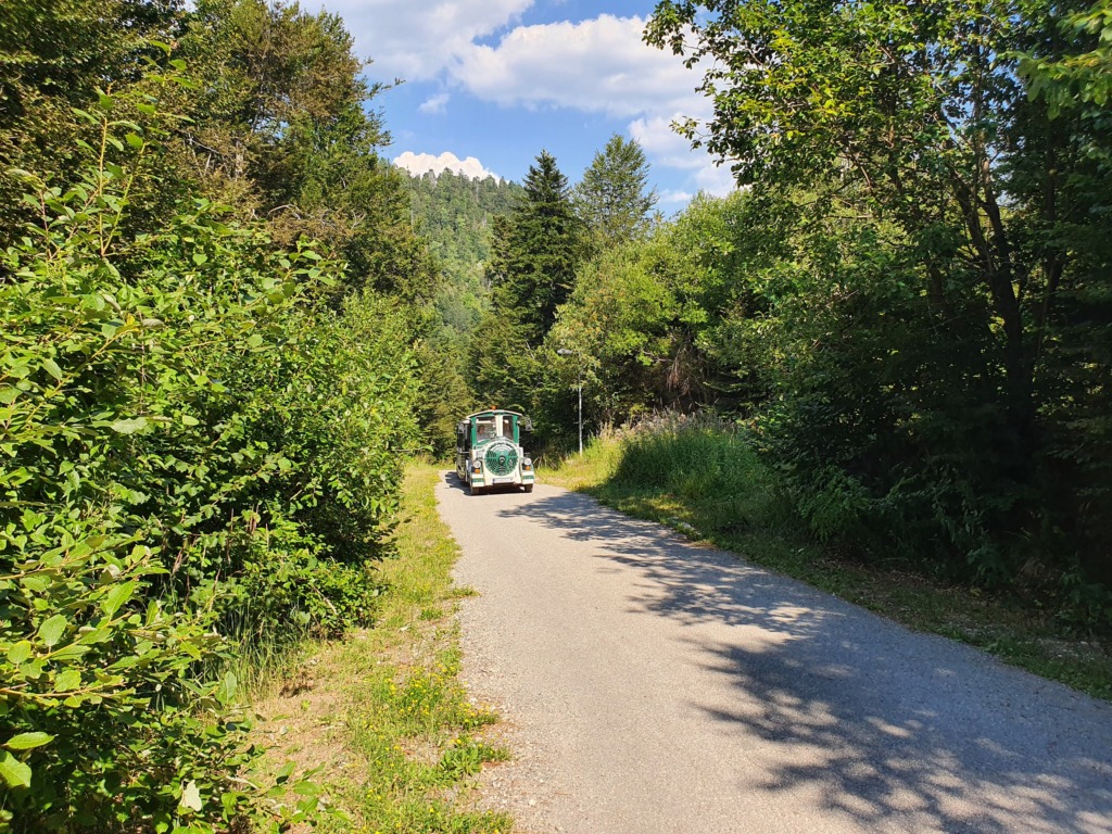 Tourist Train