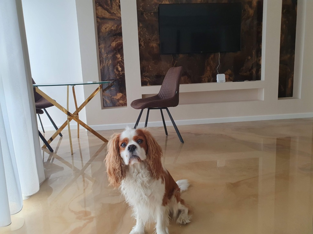 Dog Friendly Accommodation Győr