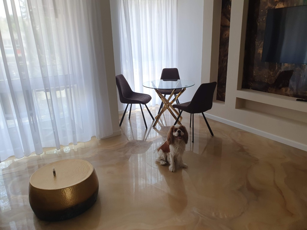 Dog Friendly Győr Apartment