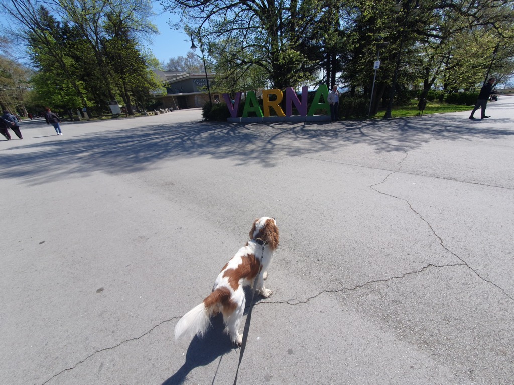Dog Varna Sign