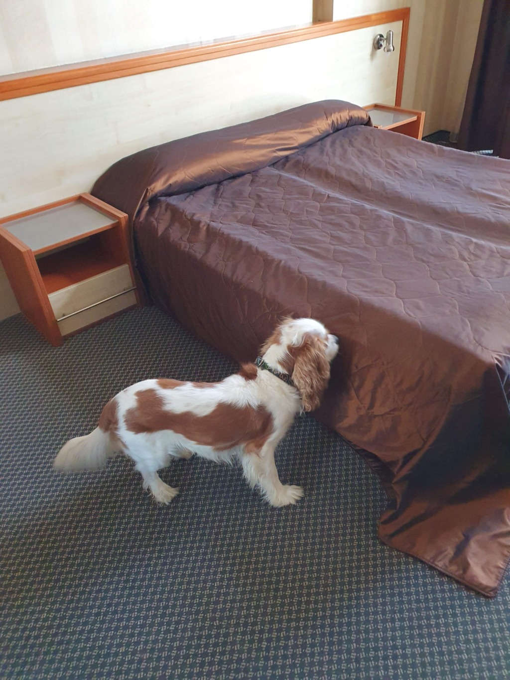 Hotel Premier