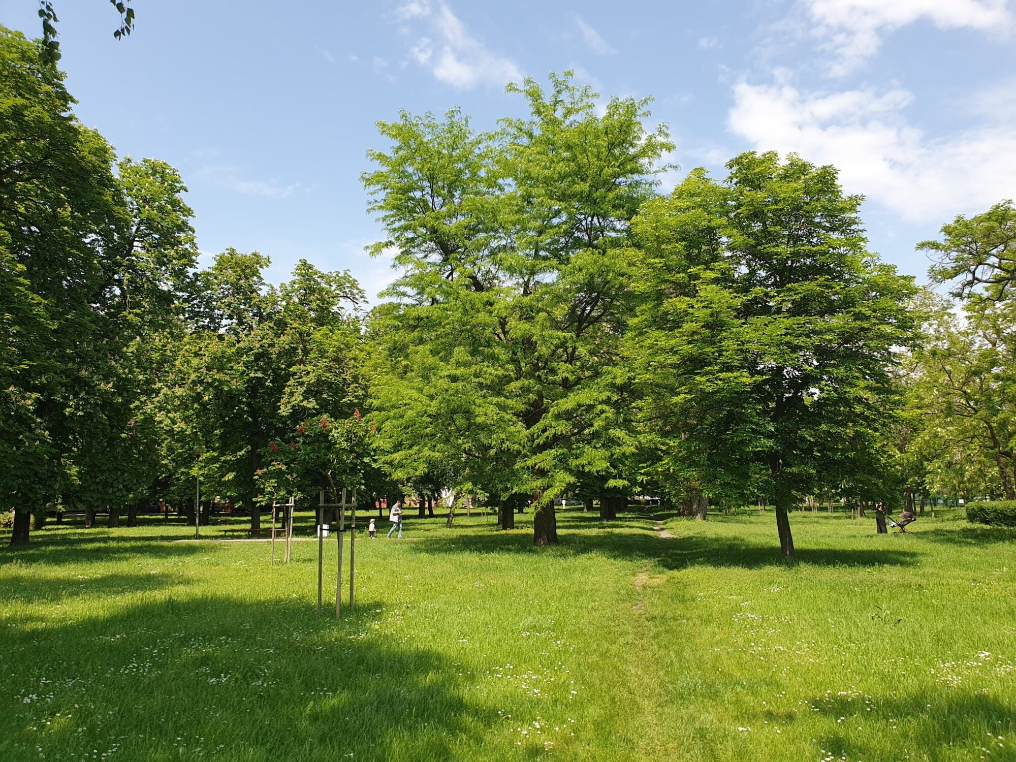 Park Anglia