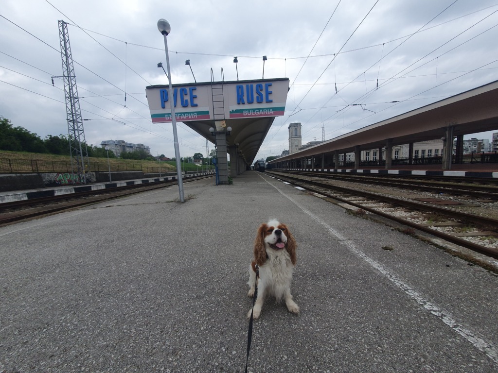 Train out of Bulgaria