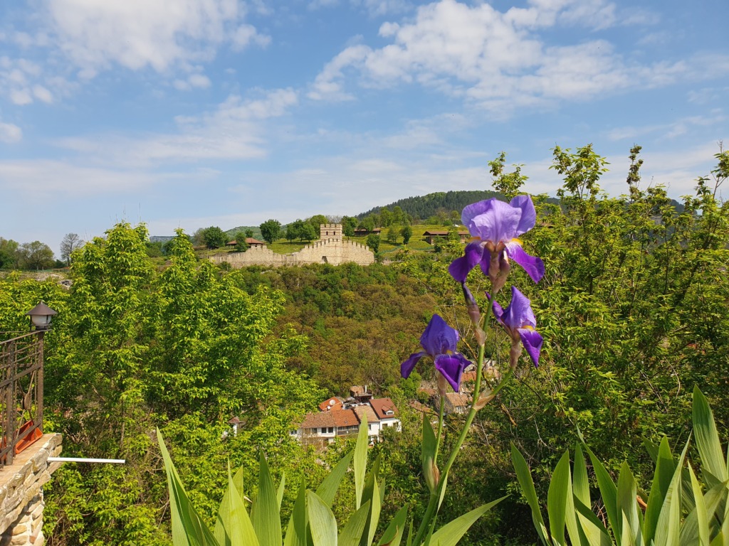 Trapezitsa Fortress Flowers