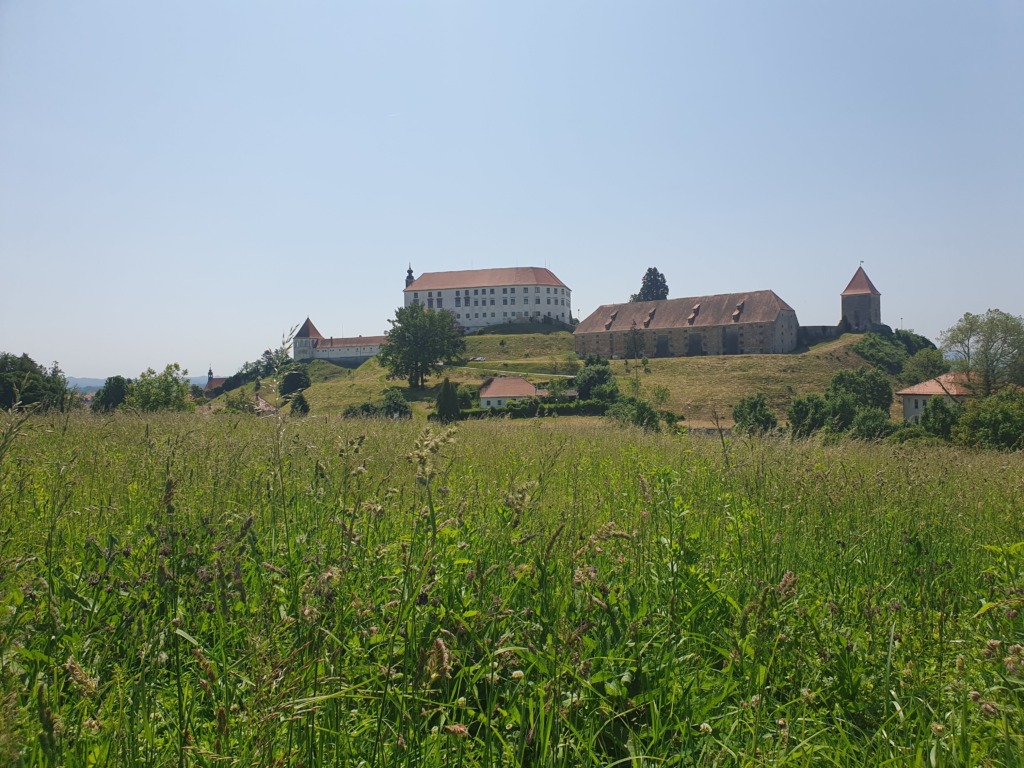 Castle from Archeological PArk