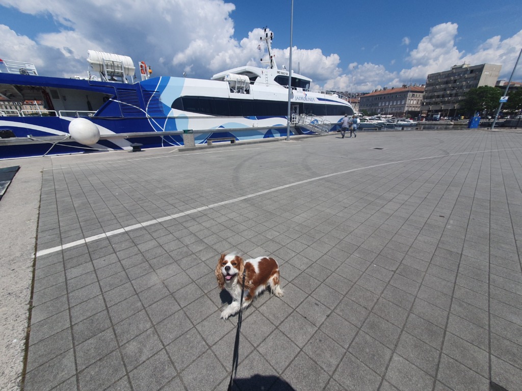 Ferry to Islands