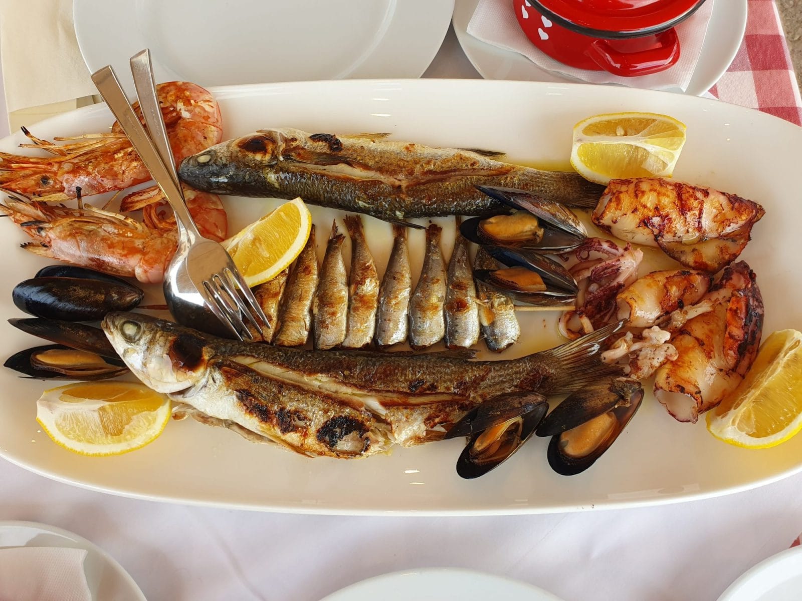 Fish Plate
