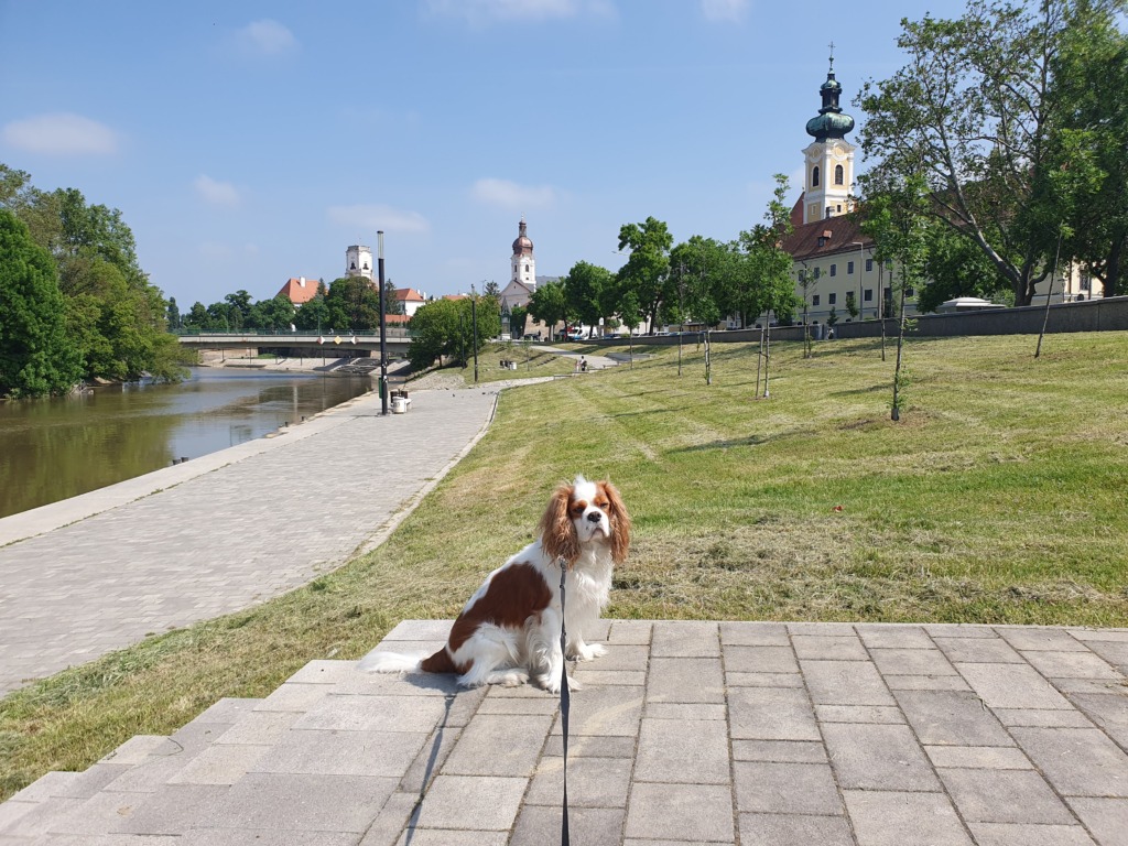 Győr Rába Beach Promenade Dog Walk