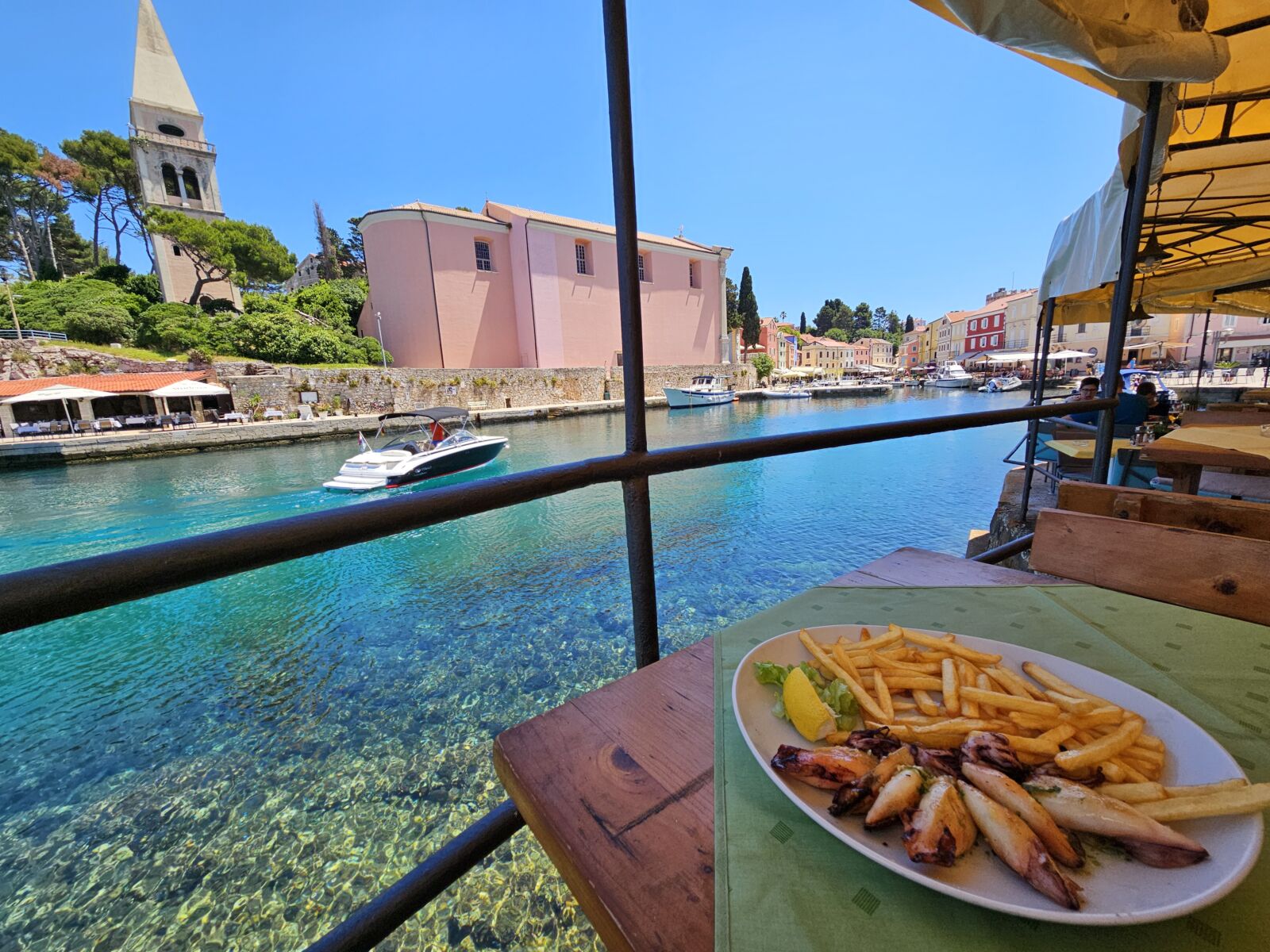 Squid By The Sea