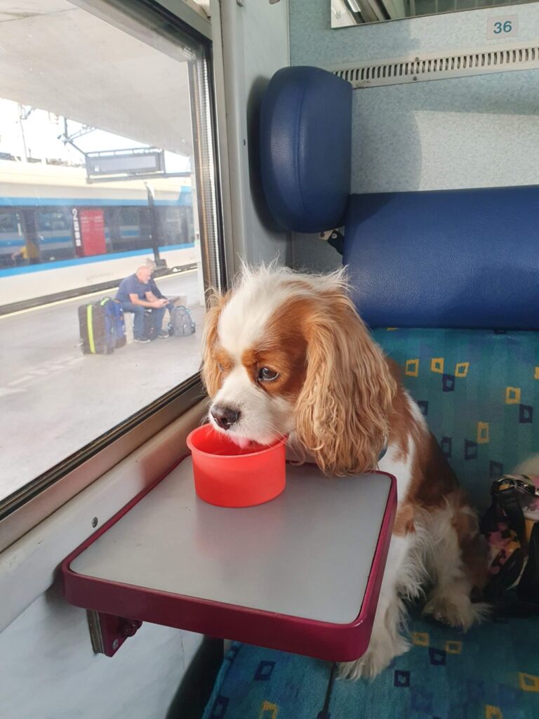 Train Slovenia to Croatia