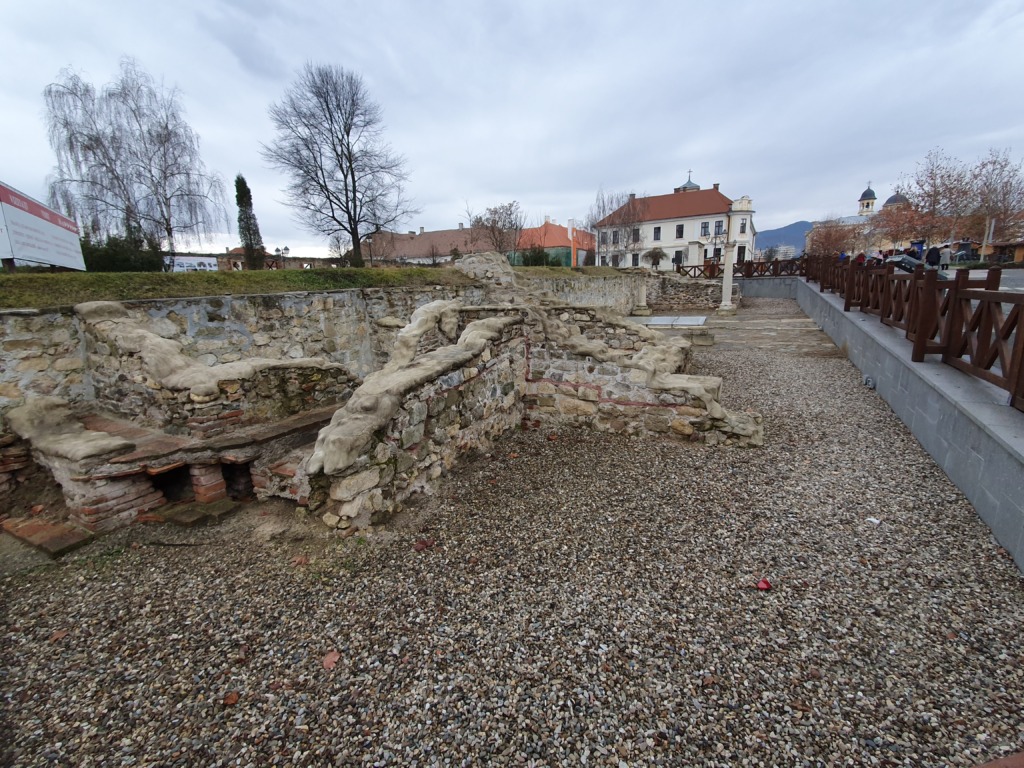 Via Principalis