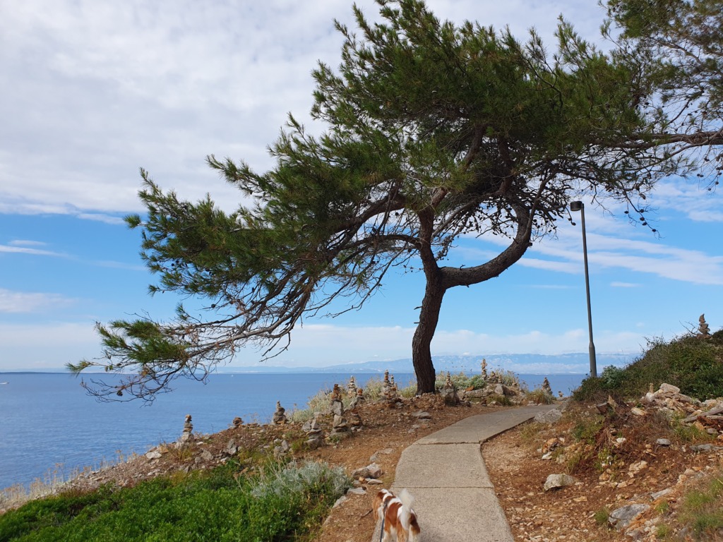 Walk From Veli Losij