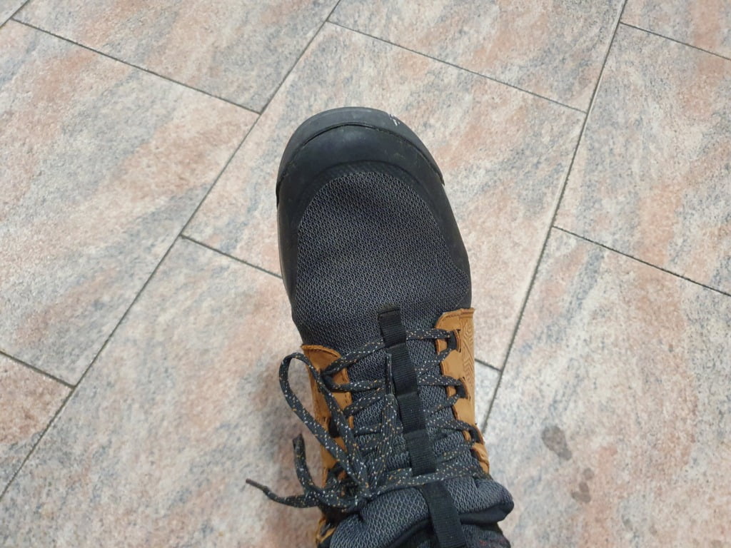 6 Months of Walking