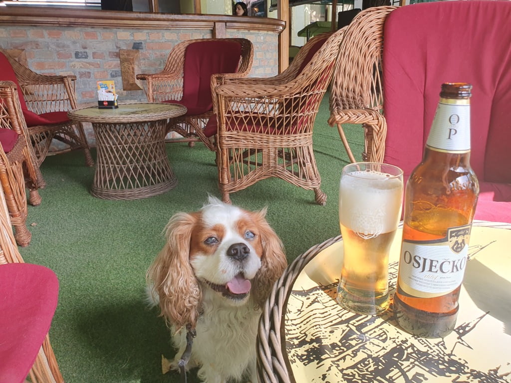 Dog Friendly Bars Osijek