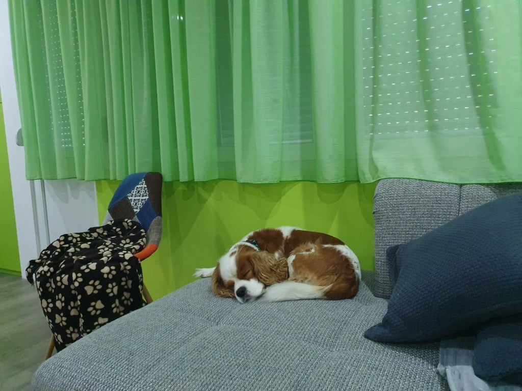 Dog Friendly Place to stay Karlovac
