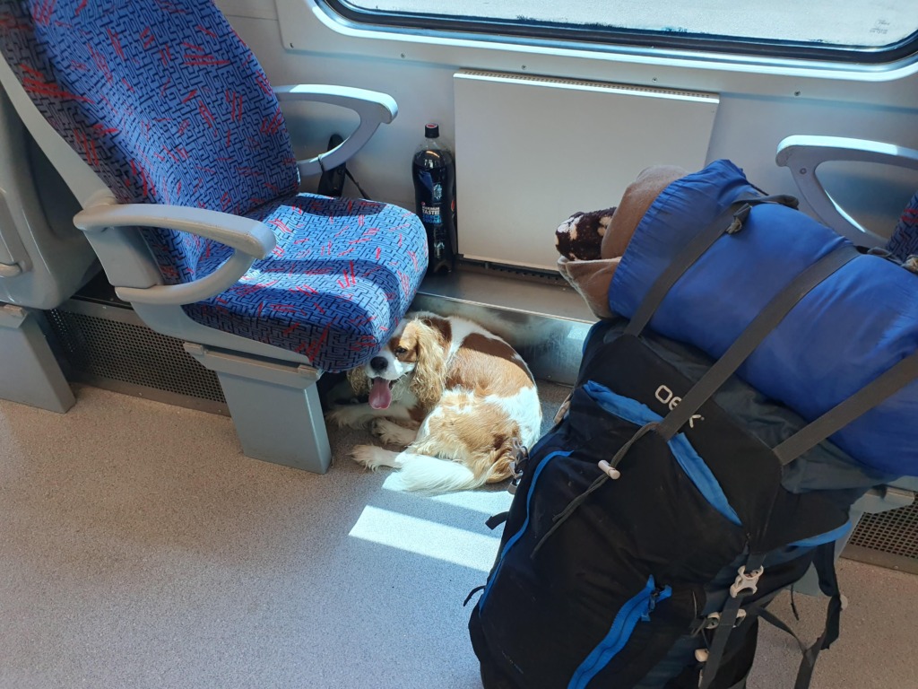 Dog Train Rijeka to Karlovac