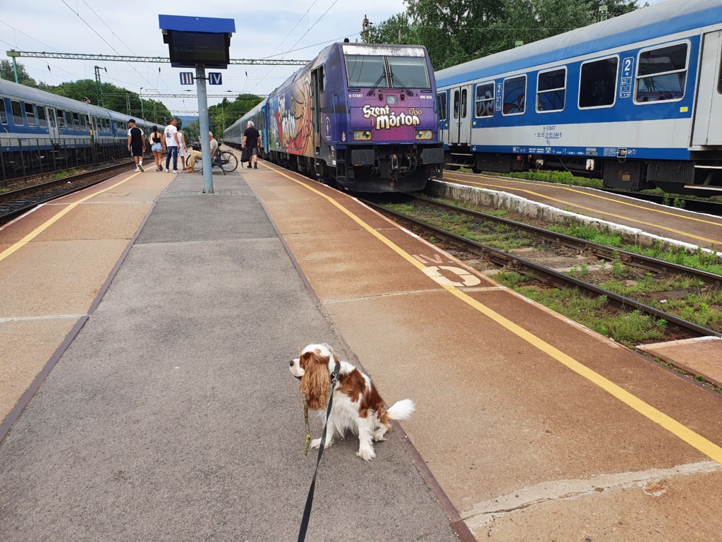 Dogs on Trains Croatia