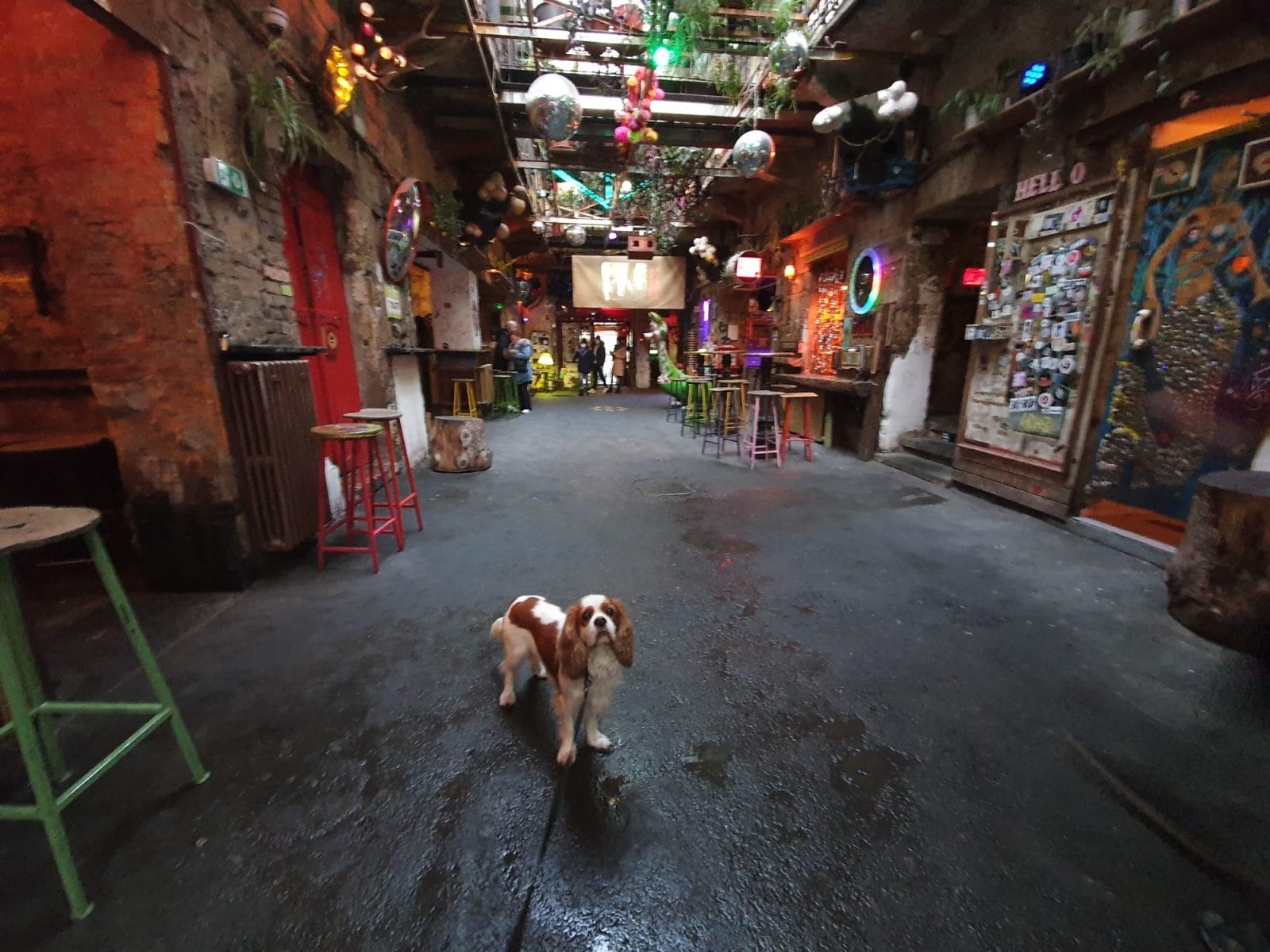 Szimpla Kert