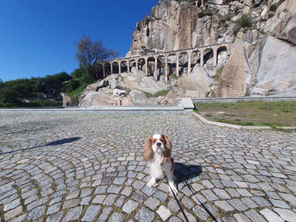 Aqueducts of Alyosha Dog