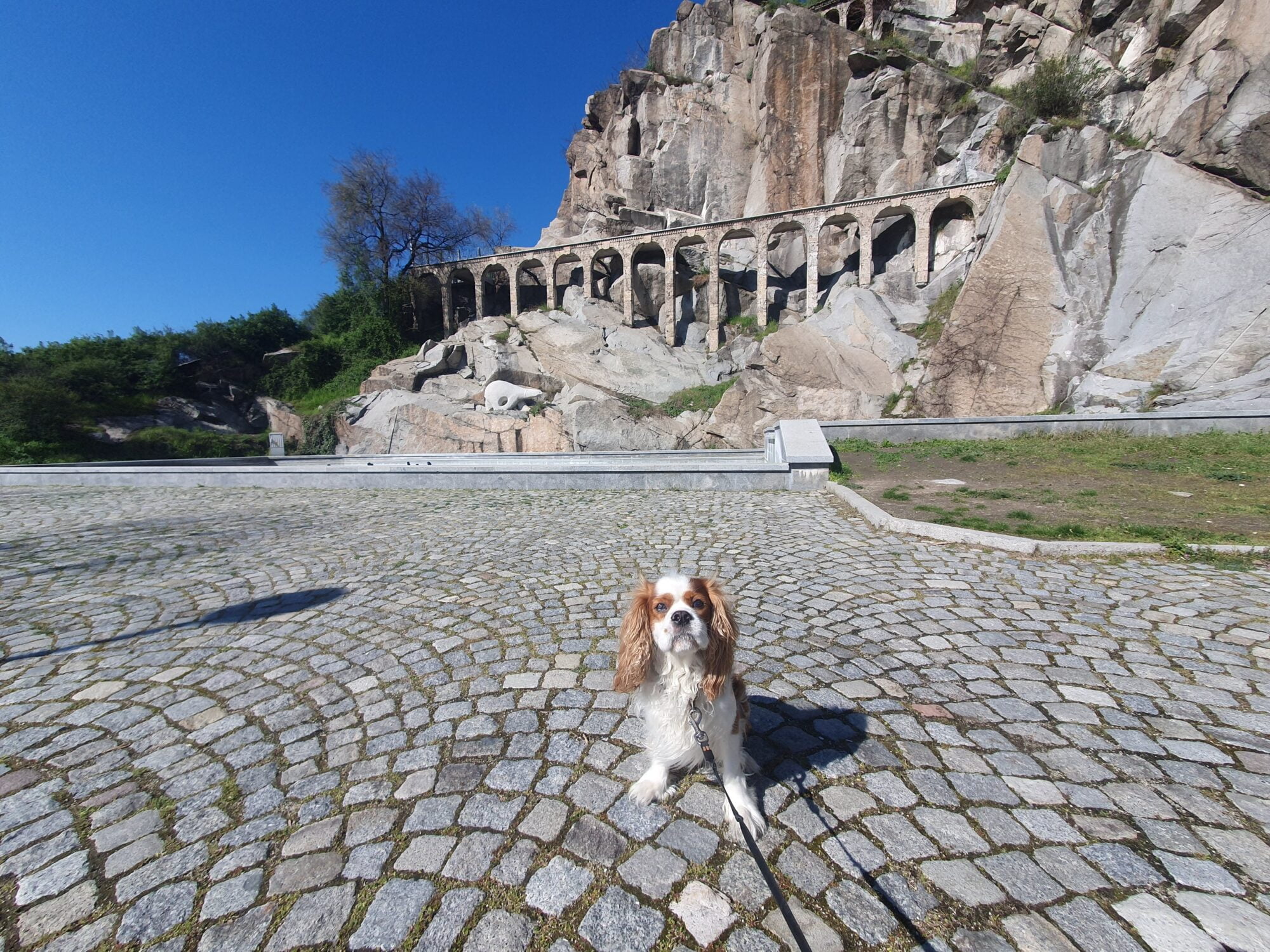 Aqueducts of Alyosha Dog