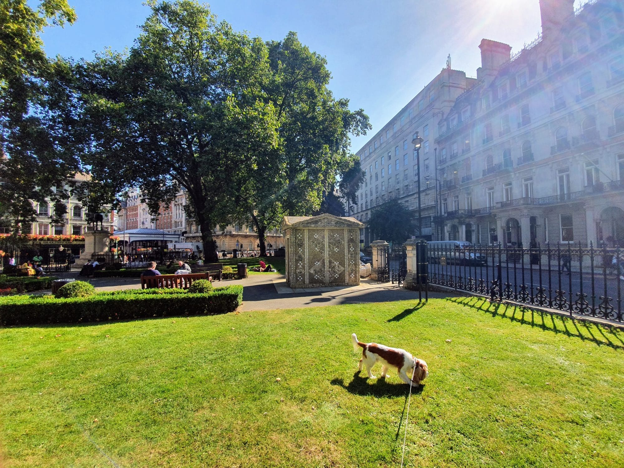Dog Friendly London