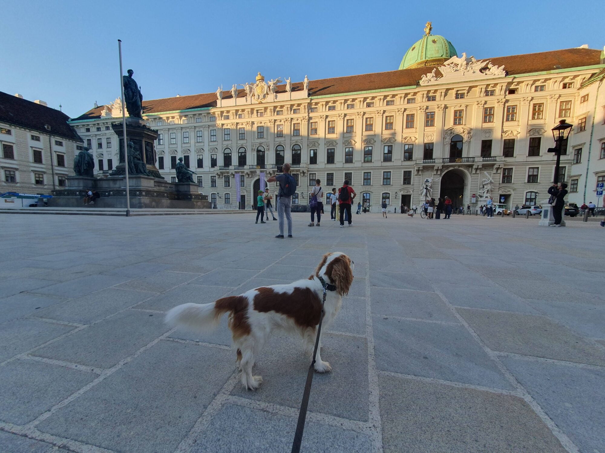 Dog Inner Courtyard - Free Things to see Vienna
