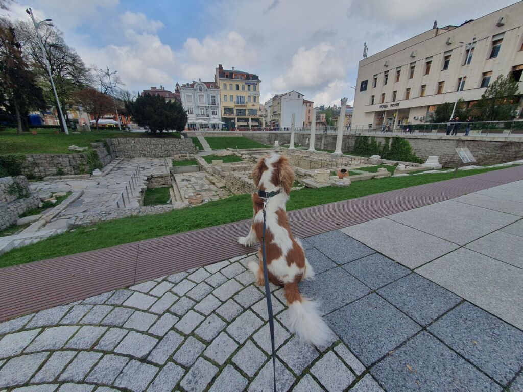 Roman Forum of Philippopolis Ruins Walkies