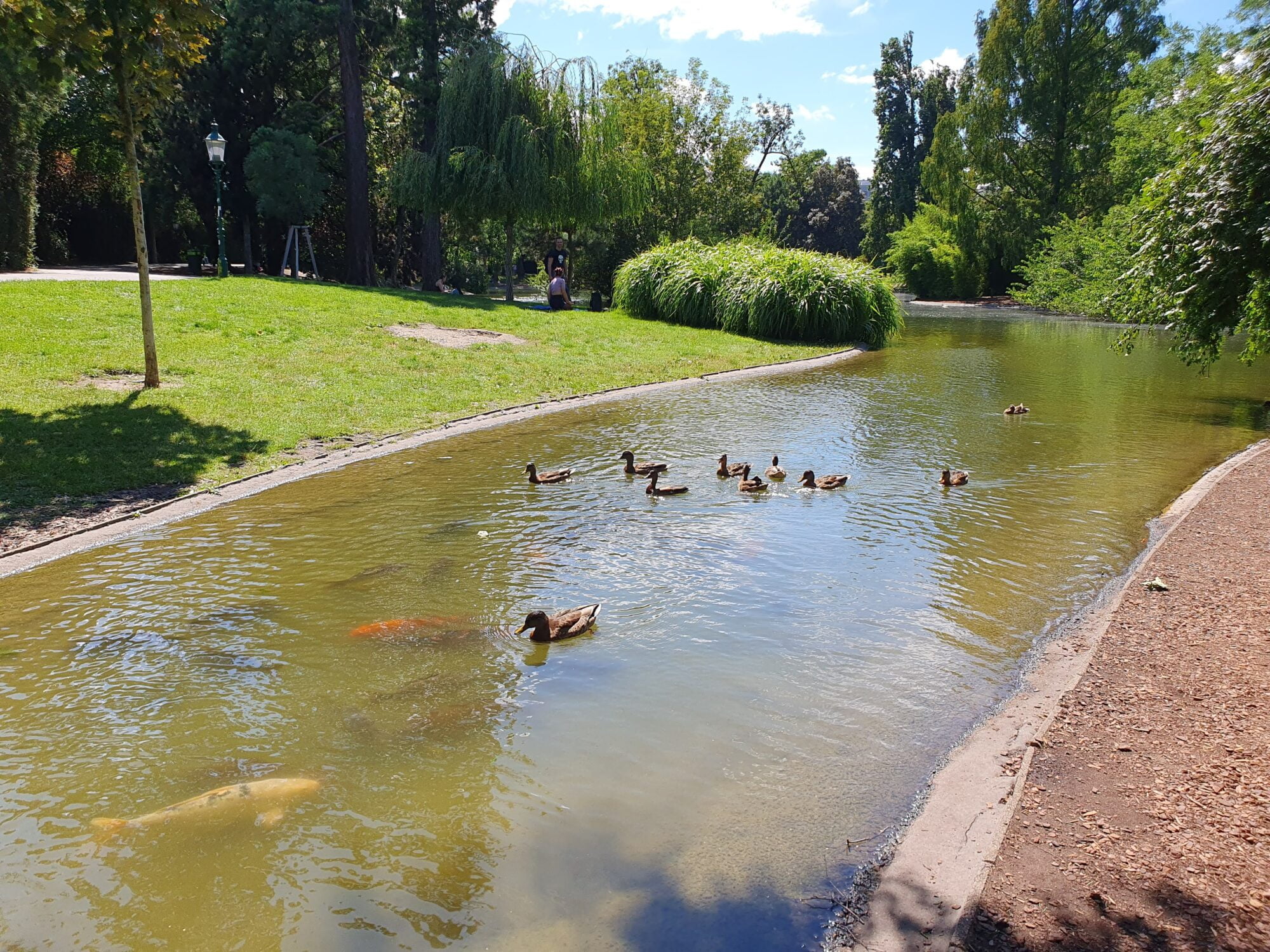 Stadtpark Ponds