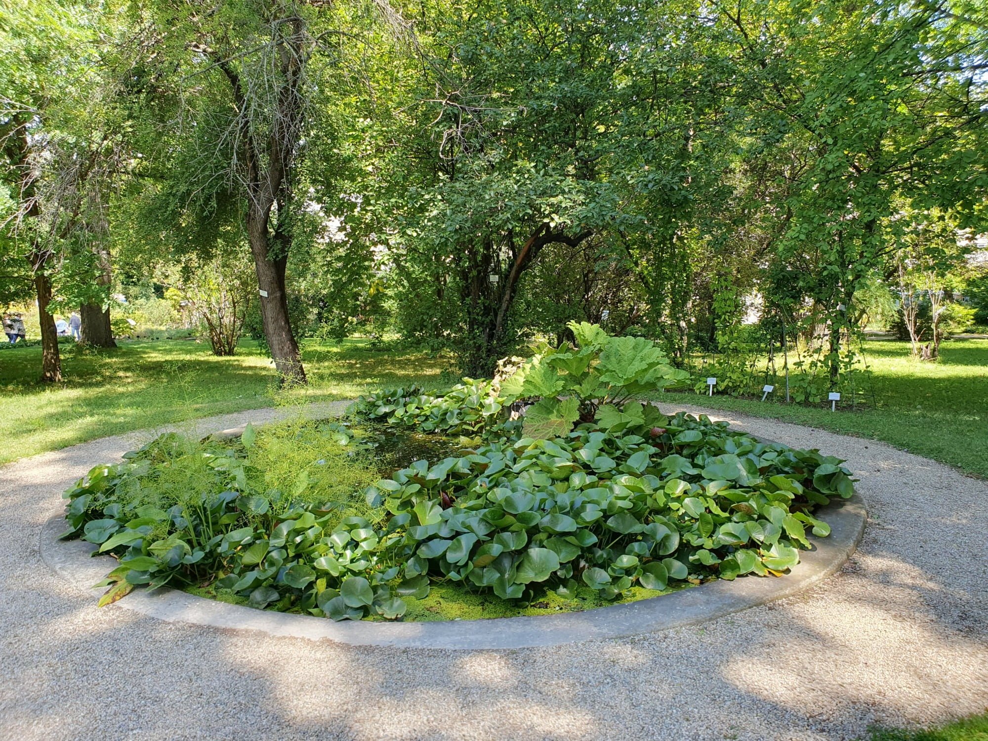 Botanical Garden Belvedere