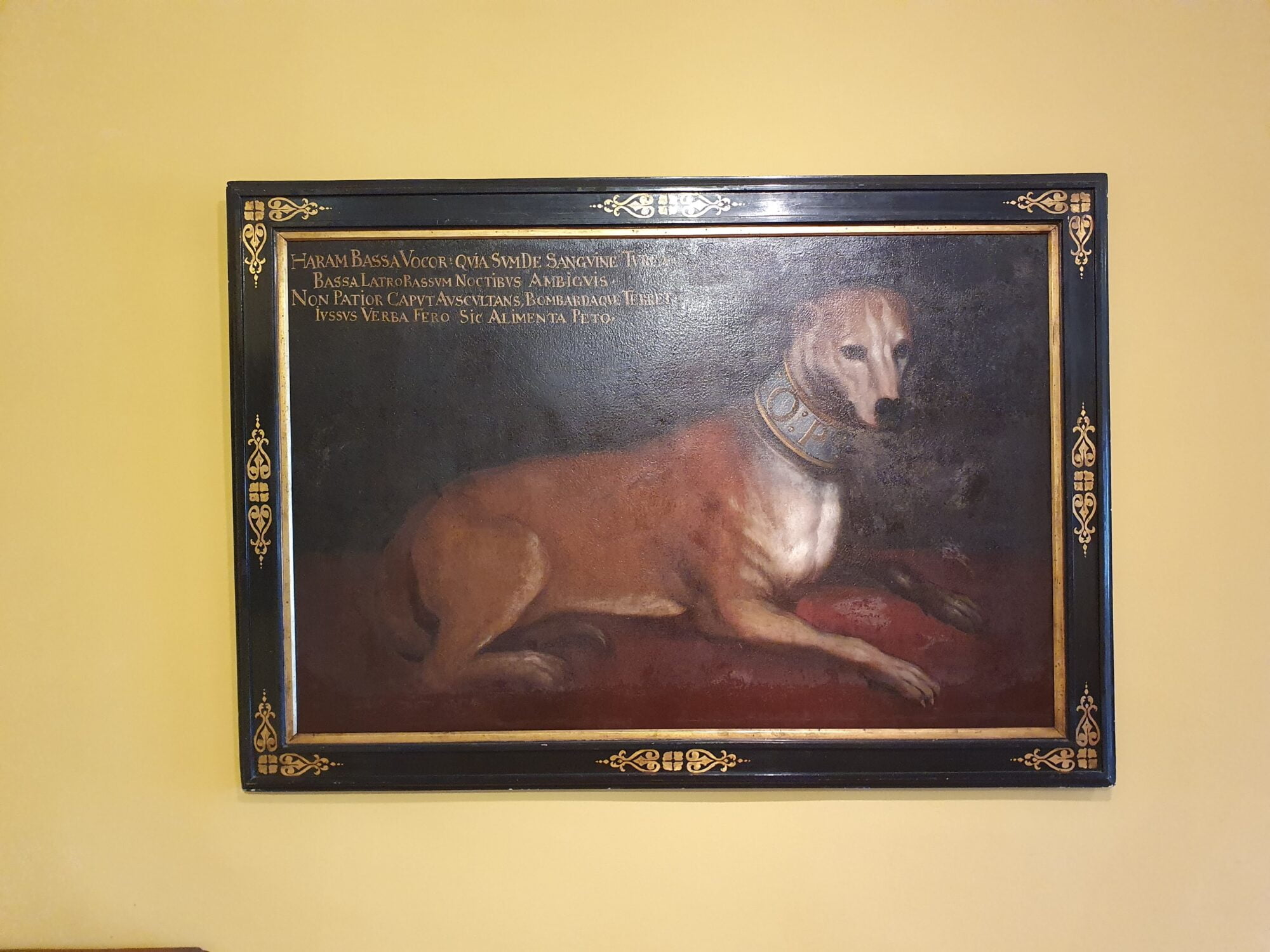 Dog Art