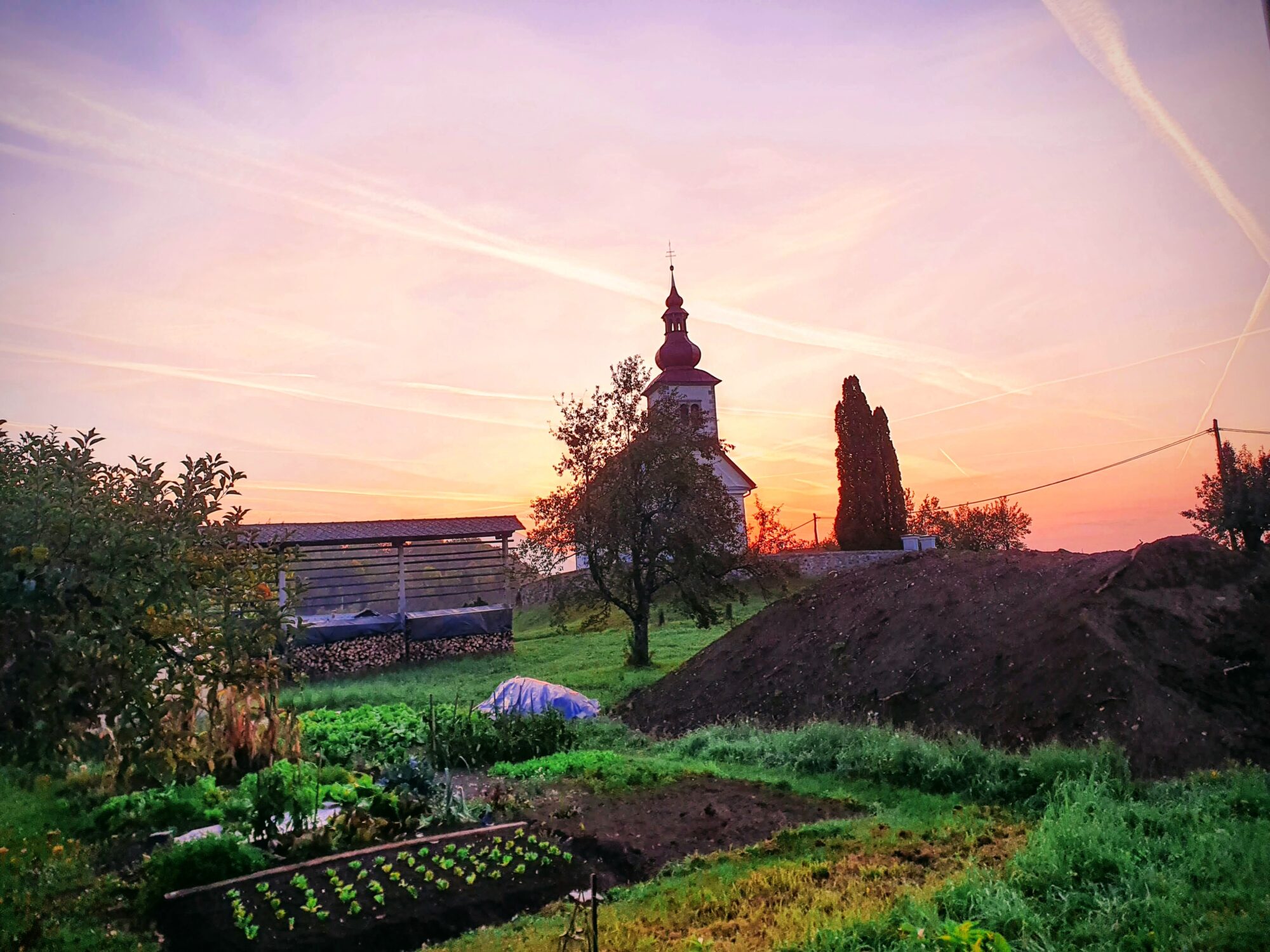 Garden Sunrise