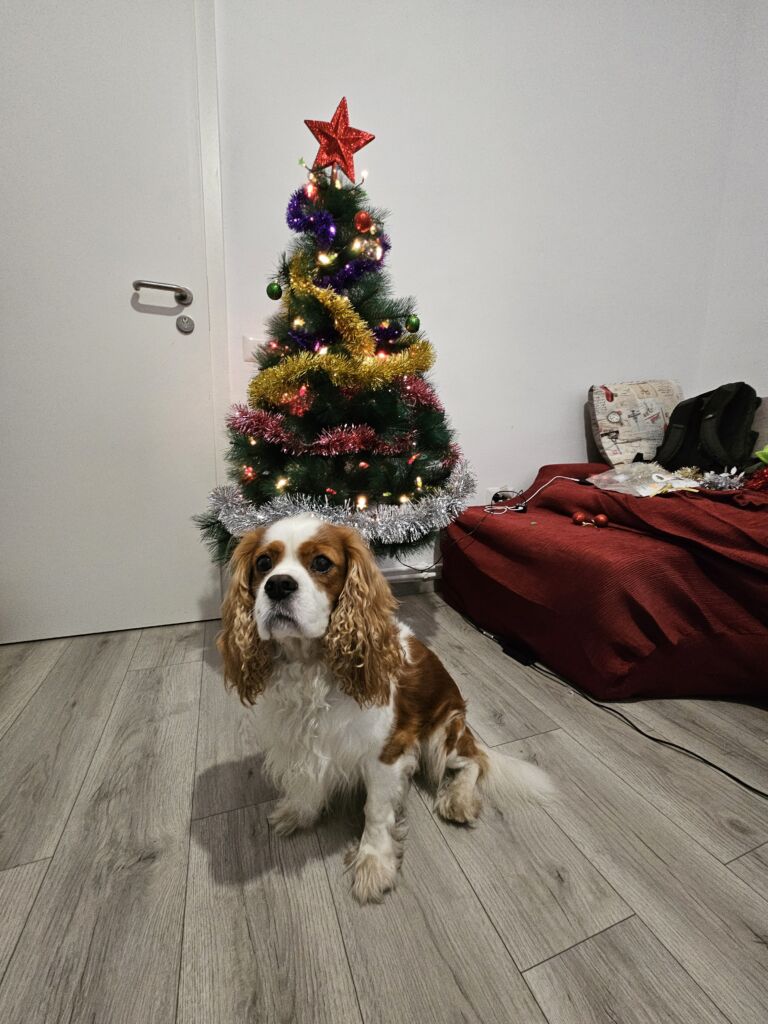 Henry Christmas