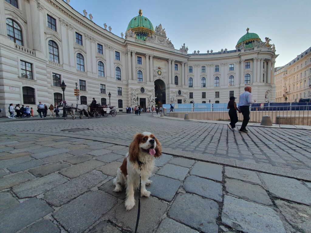 Vienna Sightseeing Walks