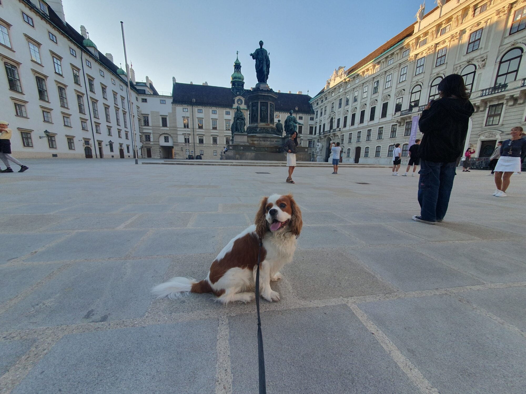 Places to visit in Vienna