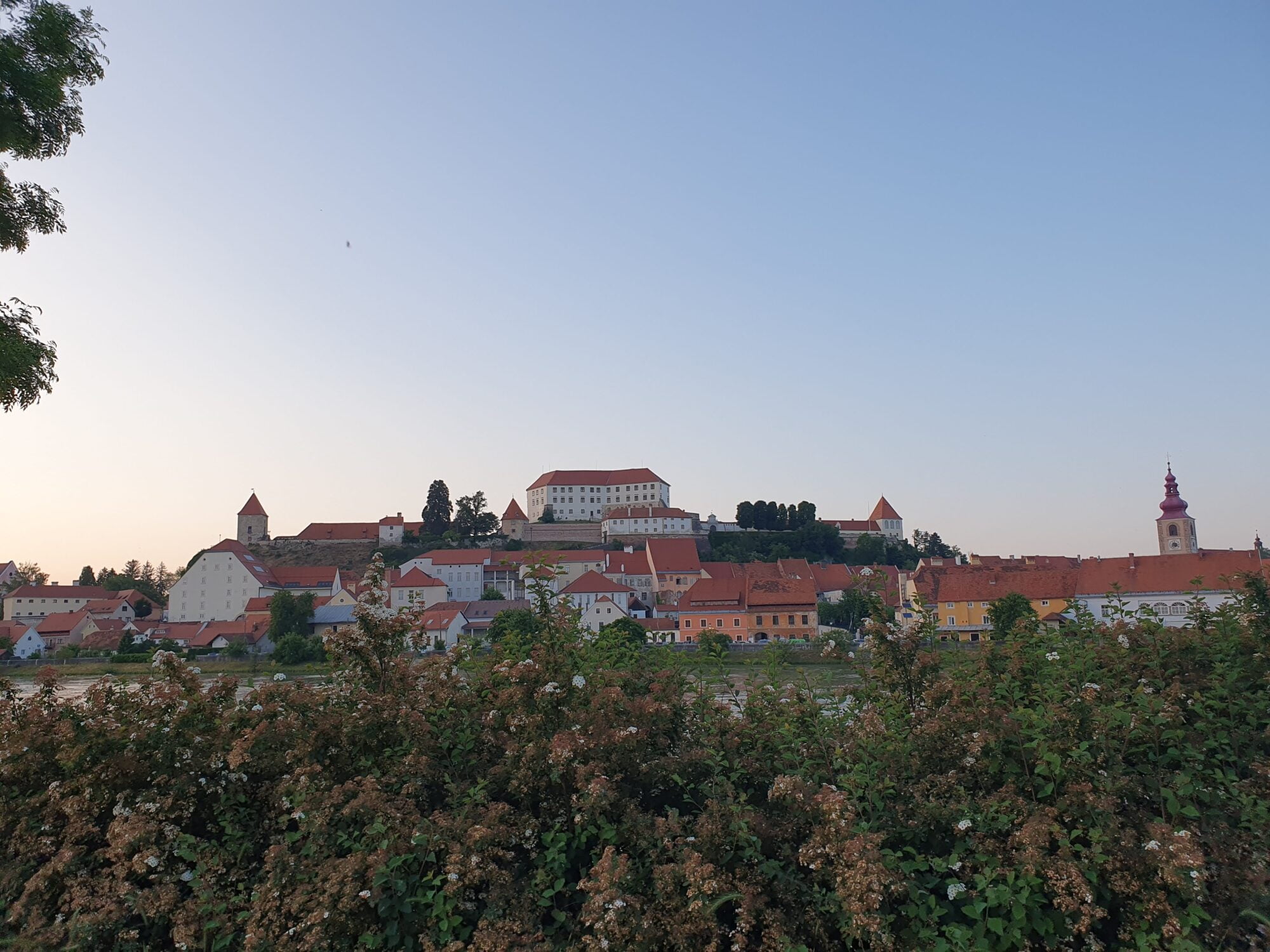 Ptuj Castle View