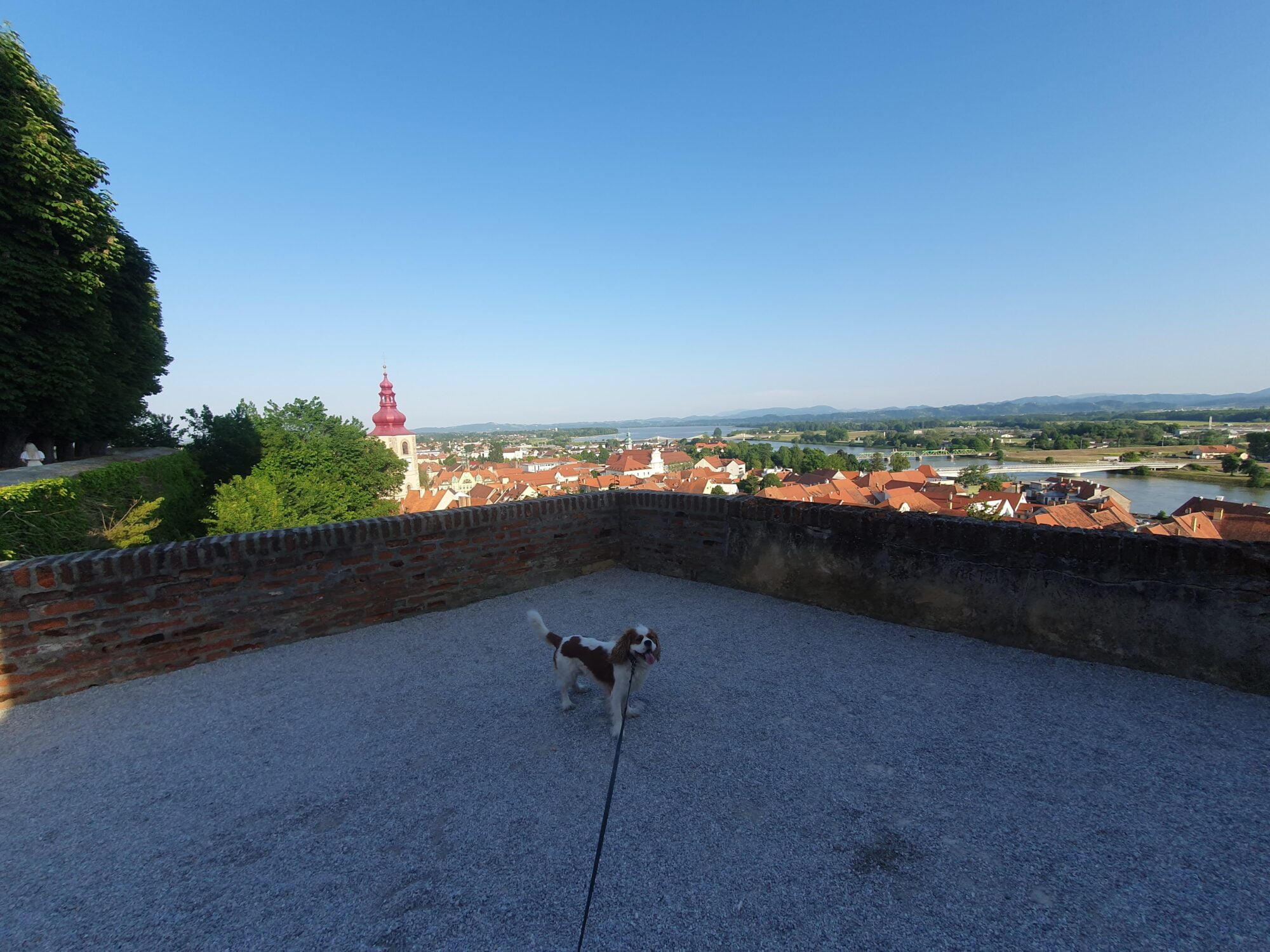 Ptuj Castle Viewpoint