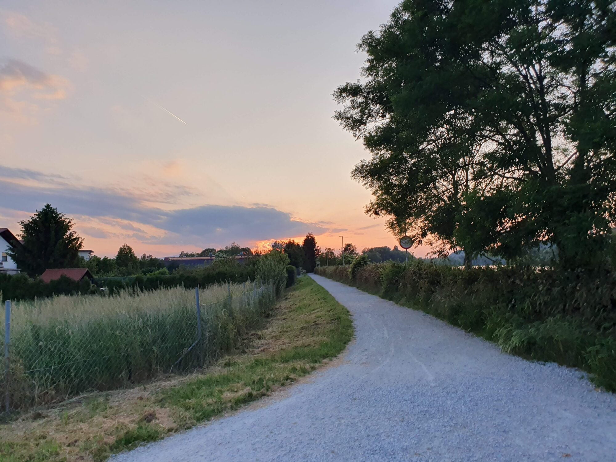 Walking trail sunset
