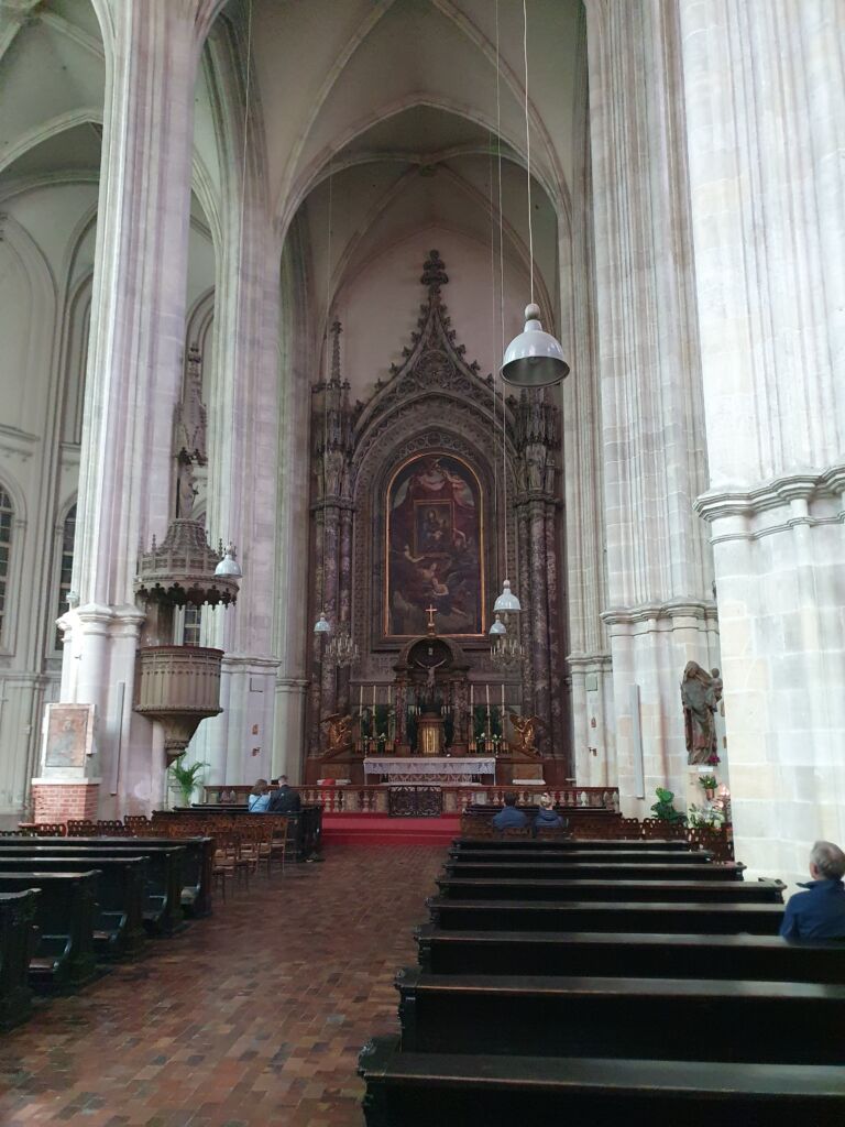 Wiener Minoritenkirche Nave