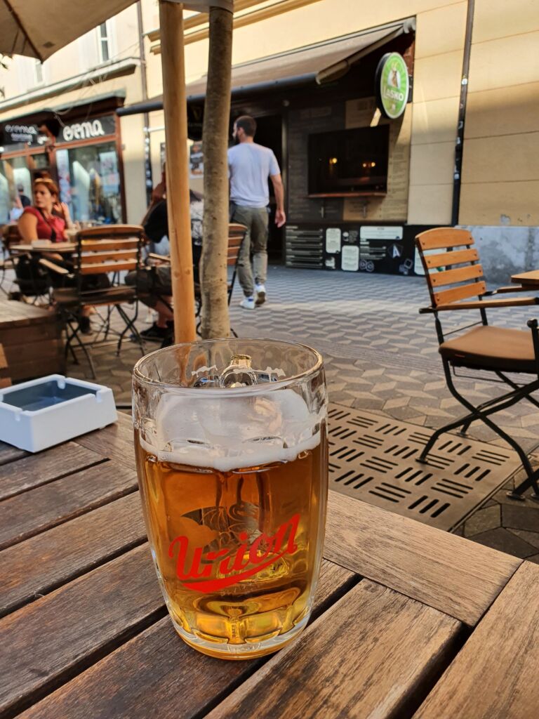 Enjoy Slovenian Beer